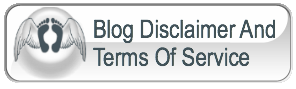 Blog Disclaimer and Terms Of Service