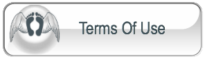 Terms Of Use